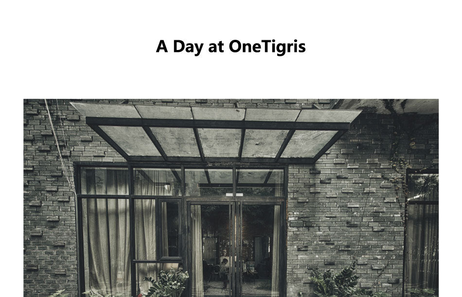 A DAY AT ONETIGRIS